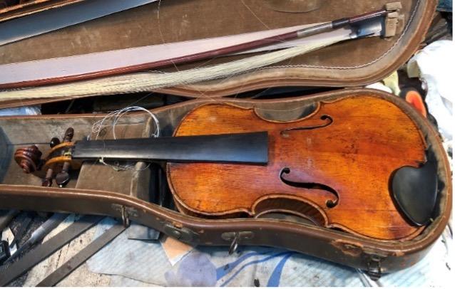 violin