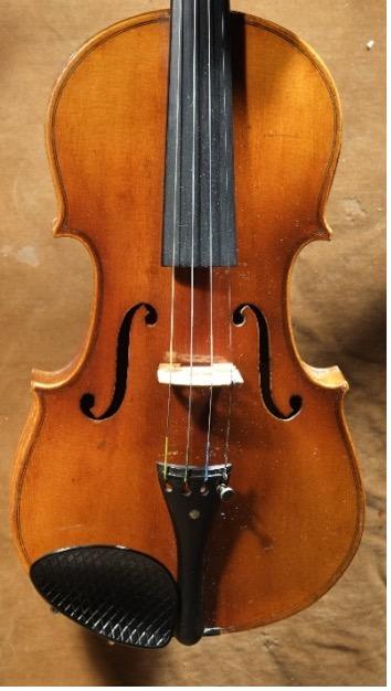 violin