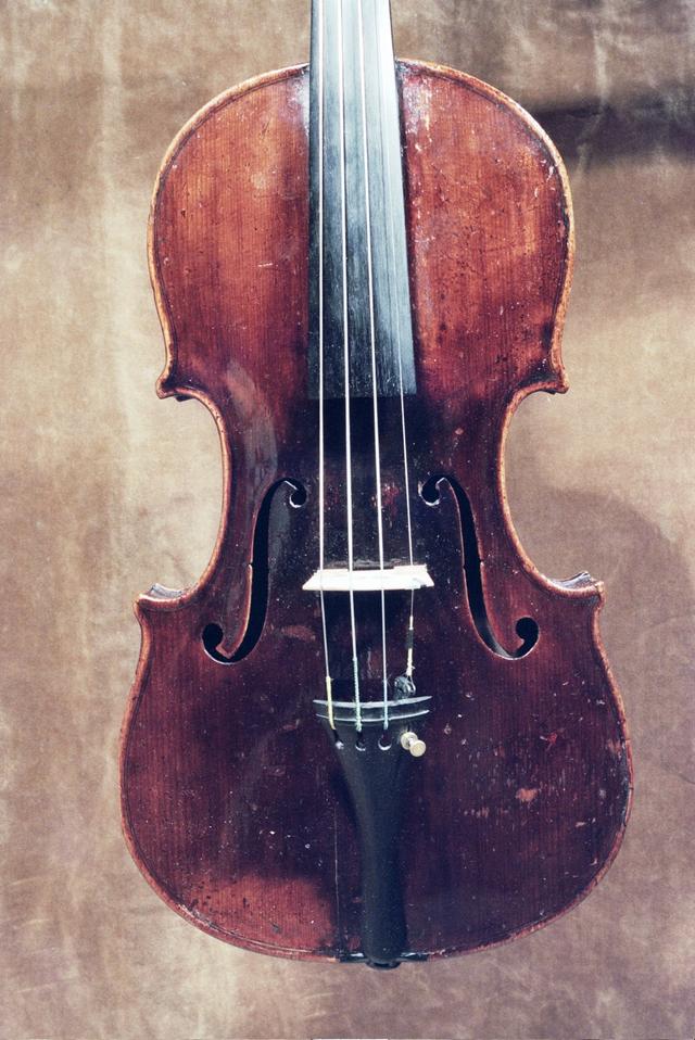 violin