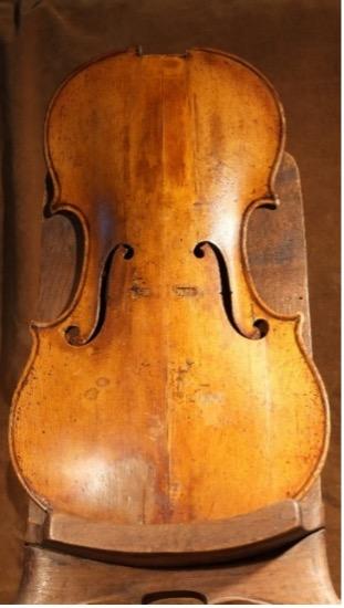 violin